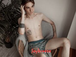 Jaybreeze