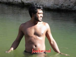 Joebernal