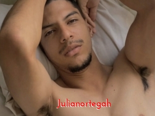 Julianortegah
