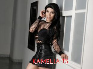 KAMELIA_TS