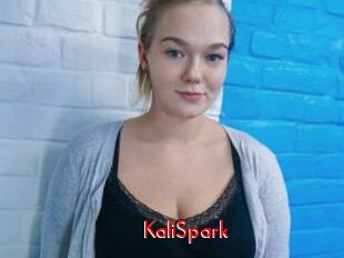 KaliSpark