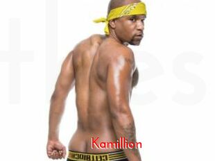 Kamillion