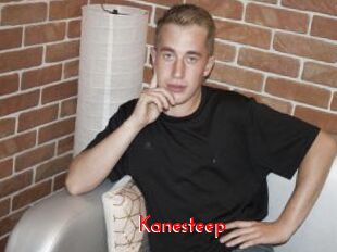 Kanesteep