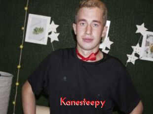 Kanesteepy