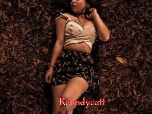 Kanndycatt