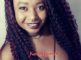 Kannel_passie