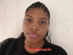 Karalamarin