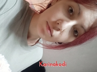 Karinakodi
