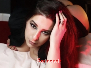 Karinanoir