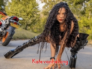 katevanhelsing The Sex