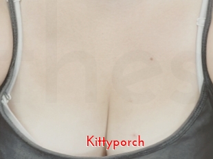 Kittyporch