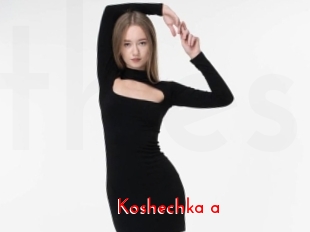 Koshechka_a