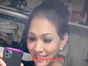 Kulkoginikutifi