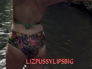 LIZPUSSYLIPSBIG