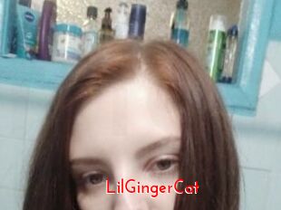 LilGingerCat