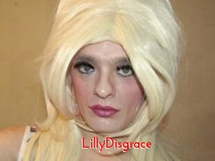LillyDisgrace