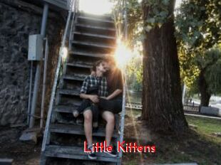 Little_Kittens