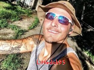 Littledick95 The Sex