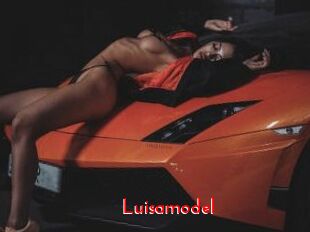 Luisamodel