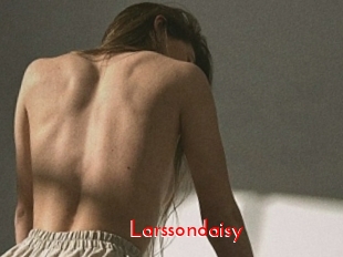 Larssondaisy