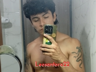 Leosantoro22