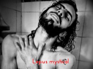 Lepus_mystical
