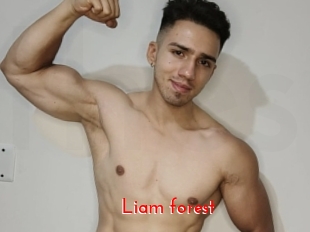 Liam_forest