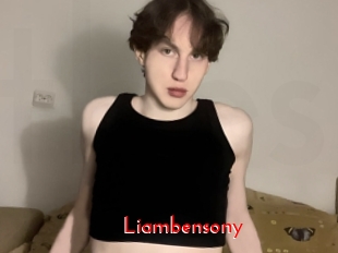 liambensony The Sex