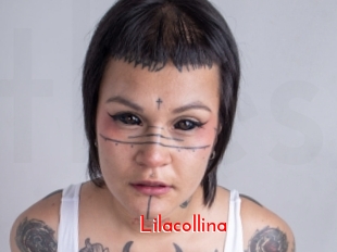Lilacollina