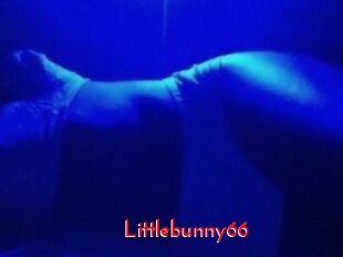 Littlebunny66