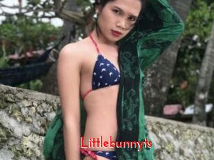 littlebunnyts The Sex