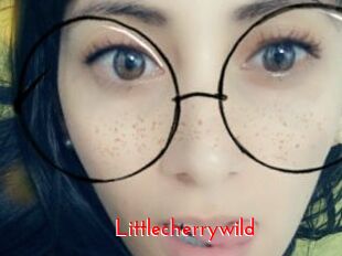 littlecherrywild The Sex