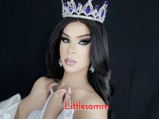 Littlesamm