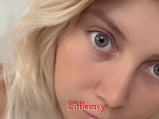littlesary The Sex