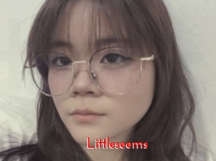Littleseems