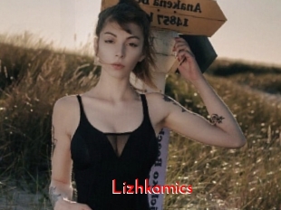 Lizhkamics