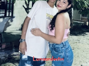 Lunaandestin