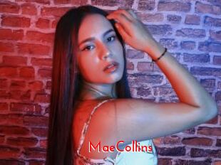 MaeCollins