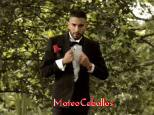 MateoCeballos