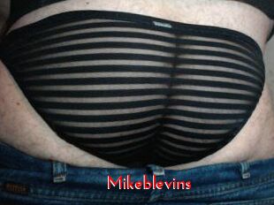 Mikeblevins