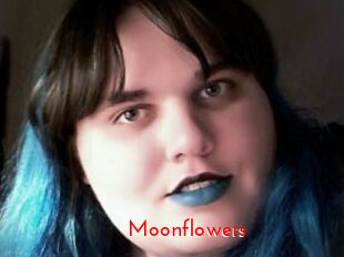 Moonflowers