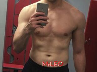 MrLEO
