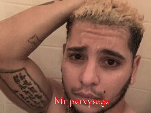 Mr_pervysage
