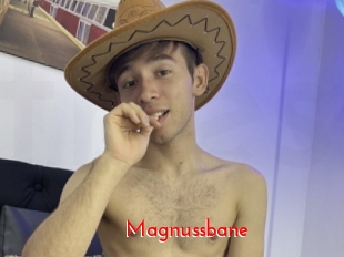 Magnussbane
