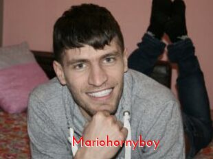 Mariohornyboy