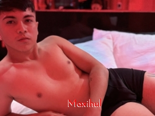 Maxihul