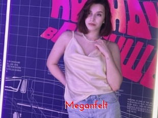 Meganfelt