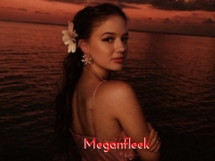 Meganfleek