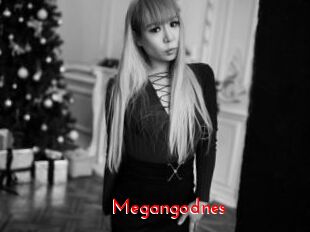 Megangodnes