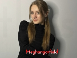 Meghangarfield